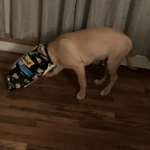 Meet your Posher, Samantha